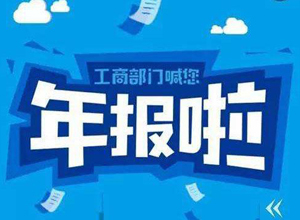 香港公司年審年報