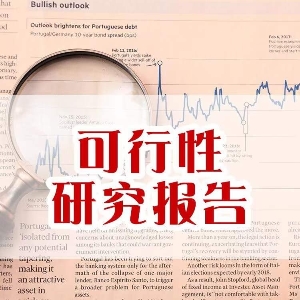 項目可行性研究報告的作用