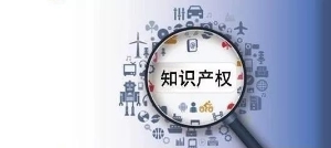 非洲知識(shí)產(chǎn)權(quán)組織介紹說(shuō)明書