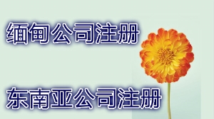 泉州注冊緬甸公司的流程 緬甸公司做賬報稅