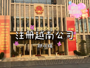2024越南貿(mào)易公司怎么注冊，以及境外投資備案（ODI）怎么辦理？