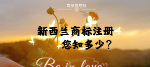 泉州注冊新西蘭，新西蘭商標注冊流程