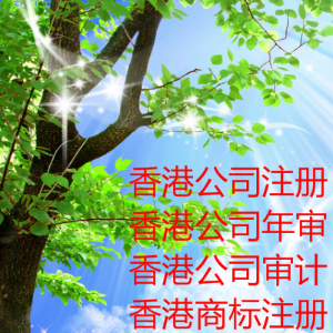 香港注冊公司后還要做什么 香港年審年報
